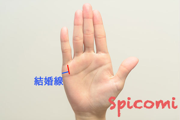 財運線と結婚線がつながる