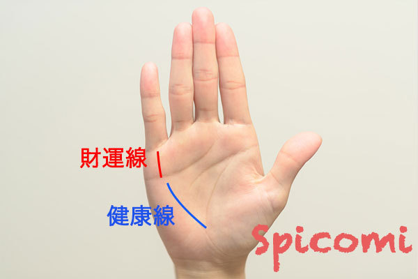 財運線と健康線［手相占い］