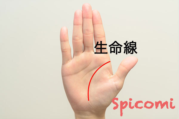 生命線上にあるほくろの意味と運勢
