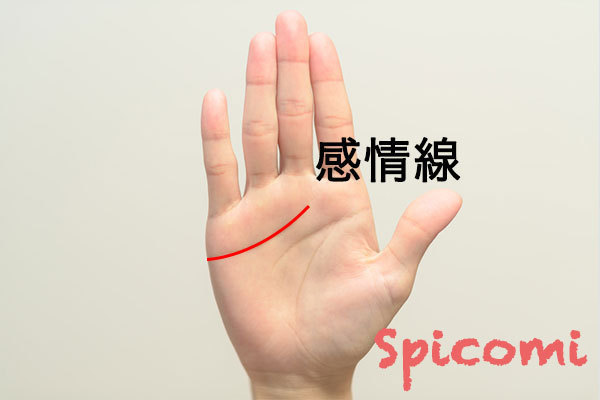 感情線上にあるほくろの意味と運勢