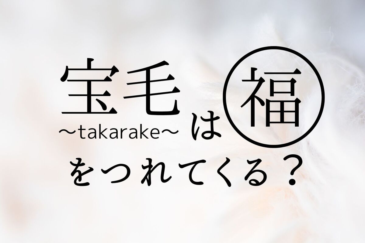 宝毛の説明