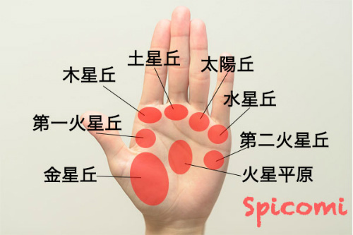 手のひらのほくろの意味と見方