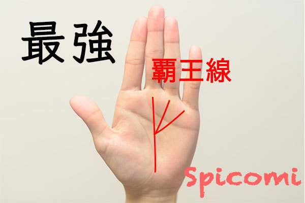 最強の手相